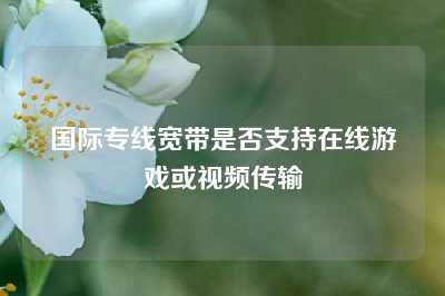 国际专线宽带是否支持在线游戏或视频传输