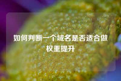 如何判断一个域名是否适合做权重提升