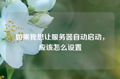 如果我想让服务器自动启动，应该怎么设置