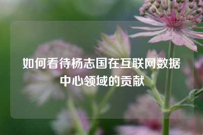 如何看待杨志国在互联网数据中心领域的贡献