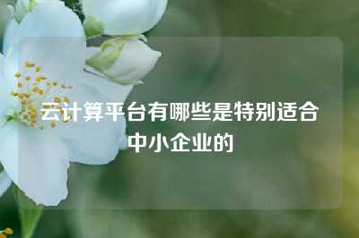 云计算平台有哪些是特别适合中小企业的