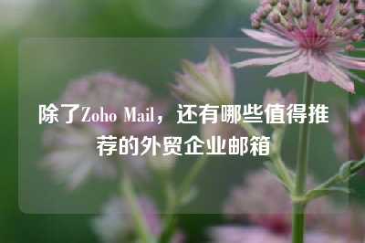 除了Zoho Mail，还有哪些值得推荐的外贸企业邮箱