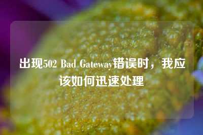 出现502 Bad Gateway错误时，我应该如何迅速处理