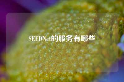 SEEDNet的服务有哪些
