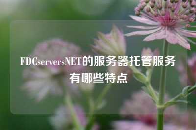 FDCserversNET的服务器托管服务有哪些特点