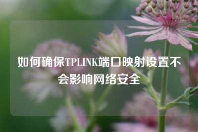 如何确保TPLINK端口映射设置不会影响网络安全