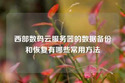 西部数码云服务器的数据备份和恢复有哪些常用方法