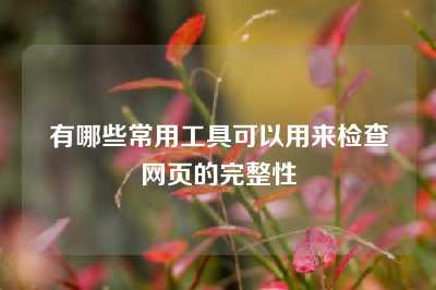 有哪些常用工具可以用来检查网页的完整性