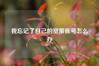 我忘记了自己的宽带账号怎么办