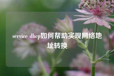 service dhcp如何帮助实现网络地址转换