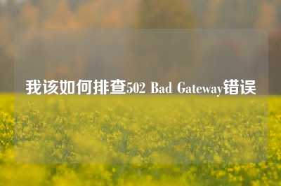 我该如何排查502 Bad Gateway错误