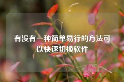 有没有一种简单易行的方法可以快速切换软件
