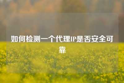 如何检测一个代理IP是否安全可靠