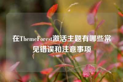 在ThemeForest激活主题有哪些常见错误和注意事项