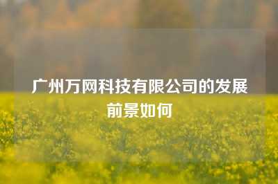 广州万网科技有限公司的发展前景如何