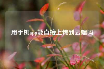 用手机app能直接上传到云端吗