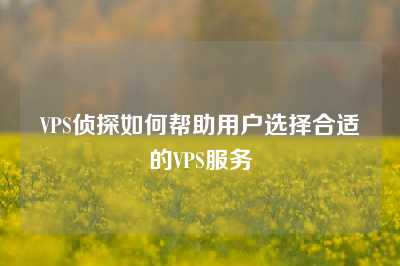 VPS侦探如何帮助用户选择合适的VPS服务
