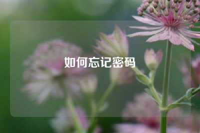 如何忘记密码