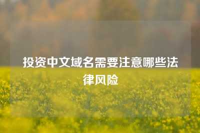 投资中文域名需要注意哪些法律风险