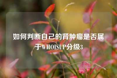 如何判断自己的肾肿瘤是否属于WHOISUP分级3