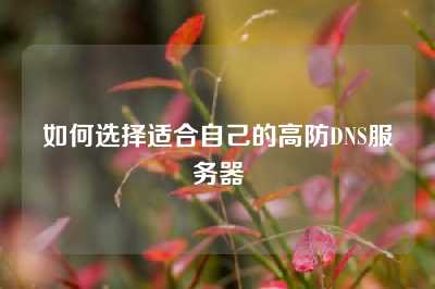 如何选择适合自己的高防DNS服务器