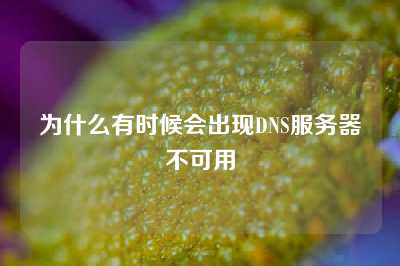 为什么有时候会出现DNS服务器不可用