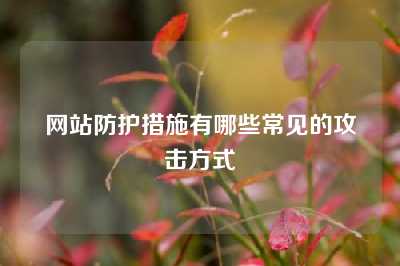 网站防护措施有哪些常见的攻击方式