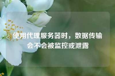 使用代理服务器时，数据传输会不会被监控或泄露