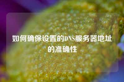如何确保设置的DNS服务器地址的准确性