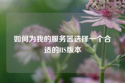 如何为我的服务器选择一个合适的IIS版本