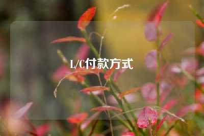 L/C付款方式