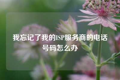 我忘记了我的ISP服务商的电话号码怎么办