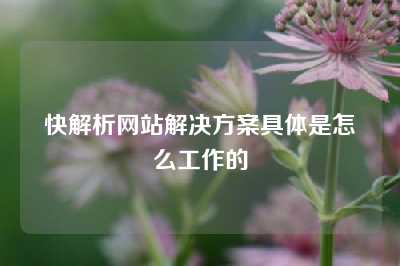 快解析网站解决方案具体是怎么工作的