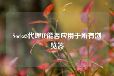 Socks5代理IP能否应用于所有浏览器