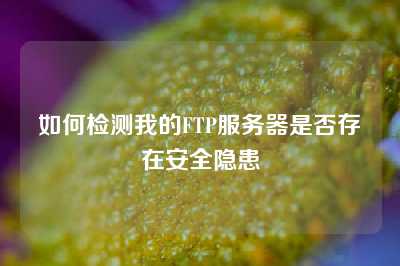 如何检测我的FTP服务器是否存在安全隐患