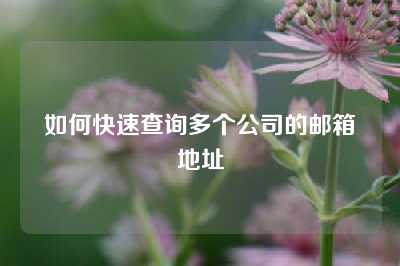 如何快速查询多个公司的邮箱地址