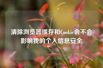 清除浏览器缓存和Cookie会不会影响我的个人信息安全