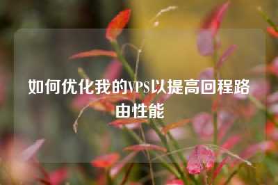如何优化我的VPS以提高回程路由性能