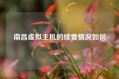 南昌虚拟主机的续费情况如何