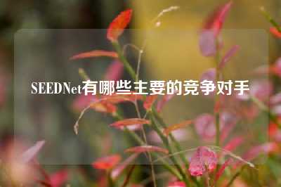SEEDNet有哪些主要的竞争对手