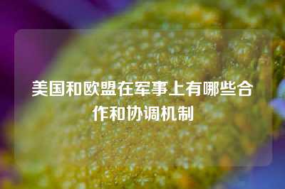 美国和欧盟在军事上有哪些合作和协调机制