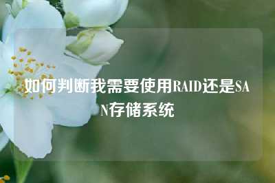 如何判断我需要使用RAID还是SAN存储系统