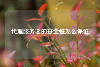 代理服务器的安全性怎么保证
