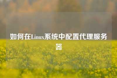 如何在Linux系统中配置代理服务器