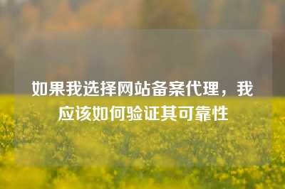 如果我选择网站备案代理，我应该如何验证其可靠性
