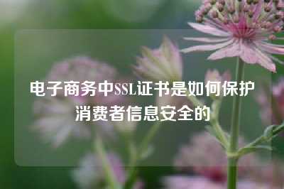 电子商务中SSL证书是如何保护消费者信息安全的