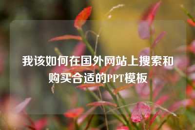 我该如何在国外网站上搜索和购买合适的PPT模板