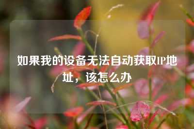 如果我的设备无法自动获取IP地址，该怎么办