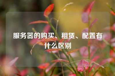 服务器的购买、租赁、配置有什么区别