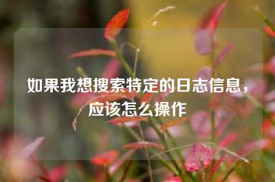 如果我想搜索特定的日志信息，应该怎么操作